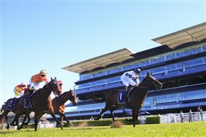 SYDNEY, AUSTRALIA - AUGUST 07: James McDonald on Harpo Marx wins race 2 the Cliff Clare Handicap during Sydney Racing at Royal Randwick Racecourse on August 07, 2021 in Sydney, Australia. (Photo by Mark Evans/Getty Images)