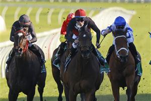 SYDNEY, AUSTRALIA - AUGUST 07: Tommy Berry on Phobetor (black with red cap) wins race 7 the Heineken Missile Stakes Sydney Racing at Royal Randwick Racecourse on August 07, 2021 in Sydney, Australia. (Photo by Mark Evans/Getty Images)