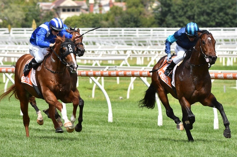 Manikato Stakes Betting Odds