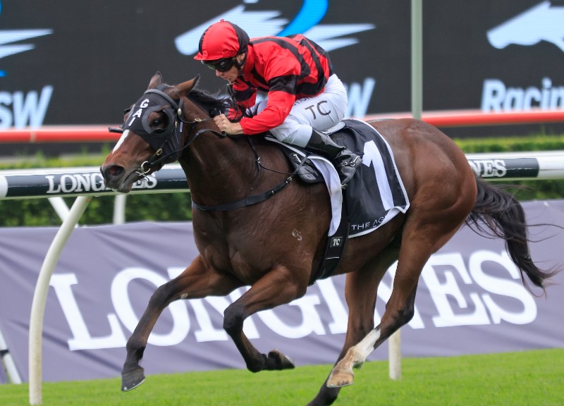 Spring Champion Stakes Betting Odds