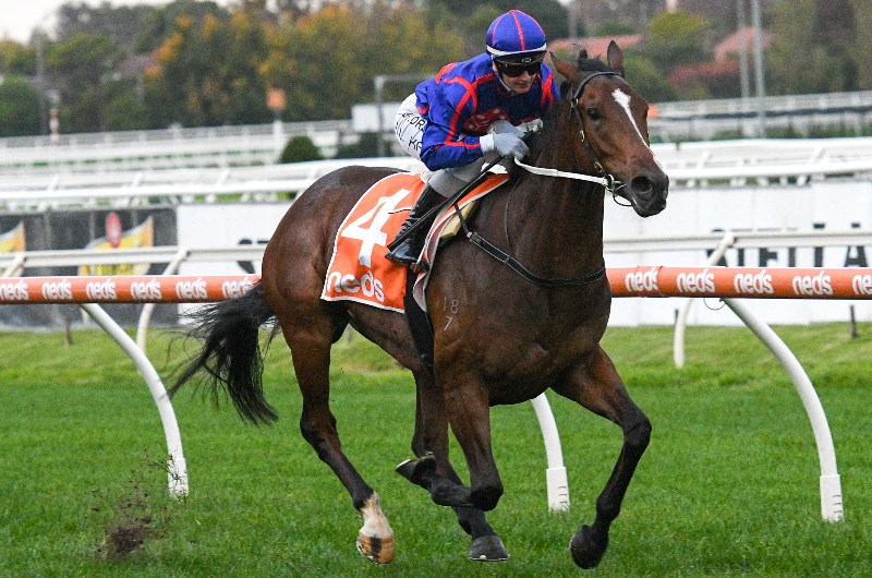 Toorak Handicap