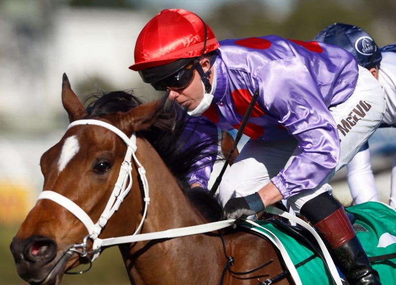 kerrin mcevoy