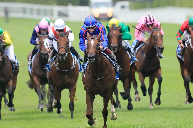 Coolmore Stud Stakes Betting Odds