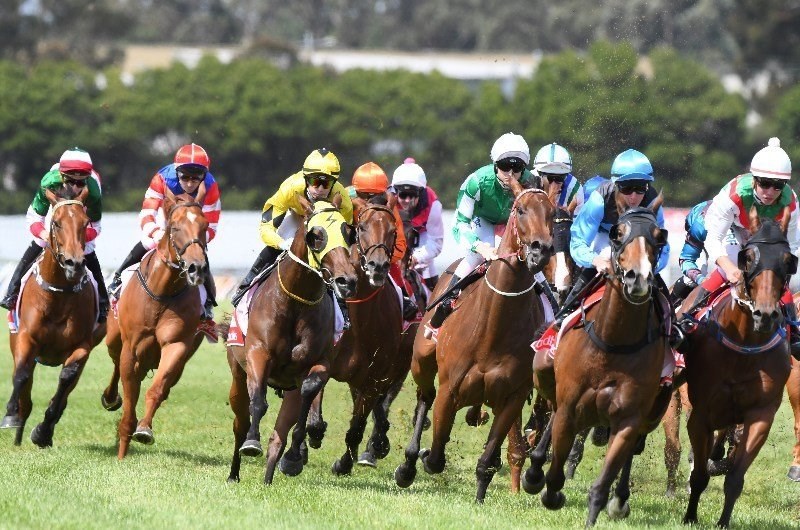 Northam tips for 18.06.2020