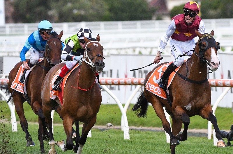 PB Lawrence Stakes Tips