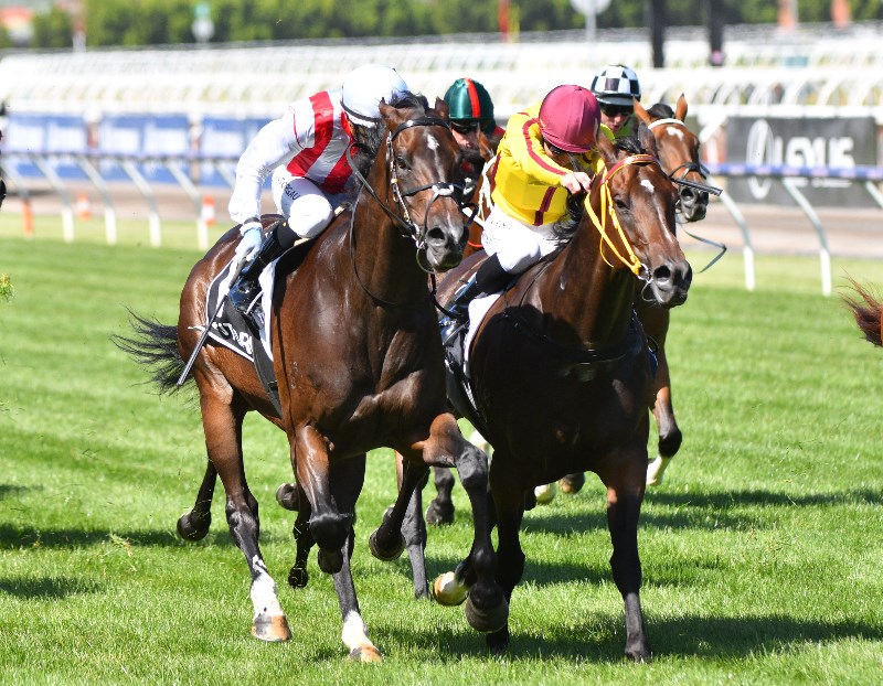 Belmont Tips for 14.08.2021