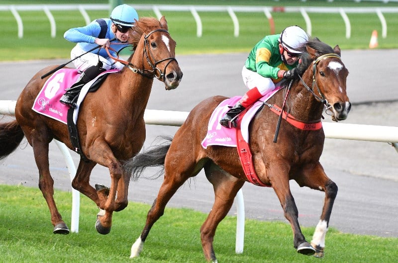 Big Bets for 14.08.2021