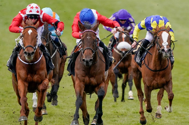 sacred newmarket