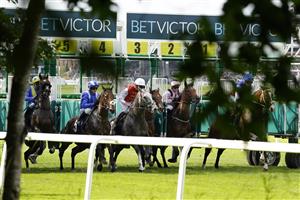 NEWBURY, ENGLAND - AUGUST 14: Jim Crowley riding Tawaareq (2L, blue) leave the stalls before winning The Mettal UK Handicap at Newbury Racecourse on August 14, 2021 in Newbury, England. (Photo by Alan Crowhurst/Getty Images)