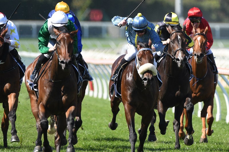 Pakenham Betting Tips