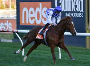 MELBOURNE, AUSTRALIA - AUGUST 14: Declan Bates riding Pintoff winning Race 9, the Evergreen Turf Regal Roller Stakes, during Melbourne Racing at Caulfield Racecourse on August 14, 2021 in Melbourne, Australia. (Photo by Vince Caligiuri/Getty Images)