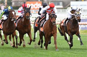 MELBOURNE, AUSTRALIA - AUGUST 14: Damien Thornton riding Hi Stranger winning Race 2, the Neds Handicap, during Melbourne Racing at Caulfield Racecourse on August 14, 2021 in Melbourne, Australia. (Photo by Vince Caligiuri/Getty Images)