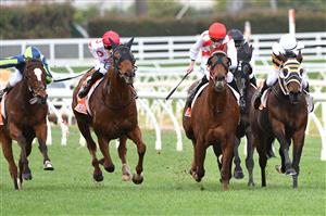 MELBOURNE, AUSTRALIA - AUGUST 14: Damien Thornton riding Hi Stranger winning Race 2, the Neds Handicap, during Melbourne Racing at Caulfield Racecourse on August 14, 2021 in Melbourne, Australia. (Photo by Vince Caligiuri/Getty Images)