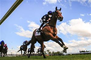 KEMBLA, AUSTRALIA - AUGUST 14: Joshua Parr on Big Parade wins race 2 the Ranvet Handicap during Sydney Racing at Kembla Grange on August 14, 2021 in Kembla, Australia. (Photo by Mark Evans/Getty Images)