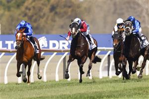 KEMBLA, AUSTRALIA - AUGUST 14: Jason Collett on Laure me in wins race 3 the Drinkwise Premier's Cup Prelude during Sydney Racing at Kembla Grange on August 14. (Getty)