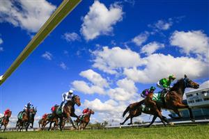 KEMBLA, AUSTRALIA - AUGUST 14: Kathy O'Hara wins Race 1, the TAB Highway Class 3 Handicap during Sydney racing at Kembla Grange on August 14. (Getty)
