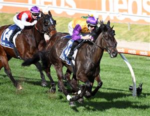 MELBOURNE, AUSTRALIA - AUGUST 14: Damian Lane riding Elephant winning race 5, the Ive Print Handicap, during Melbourne Racing at Caulfield Racecourse on August 14, 2021 in Melbourne, Australia. (Photo by Vince Caligiuri/Getty Images)