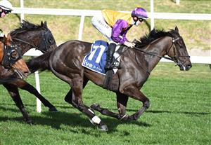 MELBOURNE, AUSTRALIA - AUGUST 14: Damian Lane riding Elephant winning race 5, the Ive Print Handicap, during Melbourne Racing at Caulfield Racecourse on August 14, 2021 in Melbourne, Australia. (Photo by Vince Caligiuri/Getty Images)