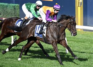MELBOURNE, AUSTRALIA - AUGUST 14: Damian Lane riding Elephant winning race 5, the Ive Print Handicap, during Melbourne Racing at Caulfield Racecourse on August 14, 2021 in Melbourne, Australia. (Photo by Vince Caligiuri/Getty Images)