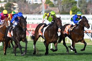 MELBOURNE, AUSTRALIA - AUGUST 14: Damien Oliver riding Ingratiating defeats General Beau and Generation (r) in race 6, the Neds Vain Stakes, during Melbourne Racing at Caulfield Racecourse on August 14, 2021 in Melbourne, Australia. (Photo by Vince Caligiuri/Getty Images)