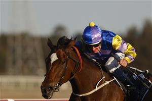 KEMBLA, AUSTRALIA - AUGUST 14: Hugh Bowman on Bring The Ransom wins race 9 the Bowermans Commercial Furniture Handicap during Sydney Racing at Kembla Grange on August 14, 2021 in Kembla, Australia. (Photo by Mark Evans/Getty Images)