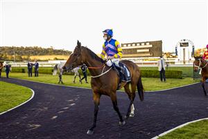 KEMBLA, AUSTRALIA - AUGUST 14: Hugh Bowman on Bring The Ransom returns to scale after winning
race 9 the Bowermans Commercial Furniture Handicap during Sydney Racing at Kembla Grange on August 14, 2021 in Kembla, Australia. (Photo by Mark Evans/Getty Images)