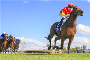 KEMBLA, AUSTRALIA - AUGUST 14: James McDonald on King Of Sparta wins race 4 the Precise Fire Handicap during Sydney Racing at Kembla Grange on August 14, 2021 in Kembla, Australia. (Photo by Mark Evans/Getty Images)