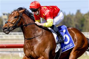 KEMBLA, AUSTRALIA - AUGUST 14: James McDonald on King Of Sparta wins race 4 the Precise Fire Handicap during Sydney Racing at Kembla Grange on August 14, 2021 in Kembla, Australia. (Photo by Mark Evans/Getty Images)