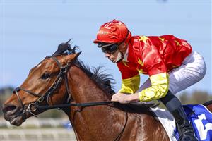 KEMBLA, AUSTRALIA - AUGUST 14: James McDonald on King Of Sparta wins race 4 the Precise Fire Handicap during Sydney Racing at Kembla Grange on August 14, 2021 in Kembla, Australia. (Photo by Mark Evans/Getty Images)
