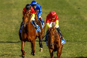 KEMBLA, AUSTRALIA - AUGUST 14: James McDonald (red cap) on Tiger of Malay wins race 8 the Darley Up And Coming Stakes during Sydney Racing at Kembla Grange on August 14, 2021 in Kembla, Australia. (Photo by Mark Evans/Getty Images)