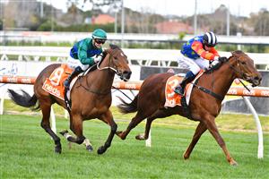 MELBOURNE, AUSTRALIA - AUGUST 14: Josh Richards riding Bella Nipotina defeats Jamie Kah riding Parlophone in Race 4, the Mark Mazzaglia Handicap, during Melbourne Racing at Caulfield Racecourse on August 14, 2021 in Melbourne, Australia. (Photo by Vince Caligiuri/Getty Images)