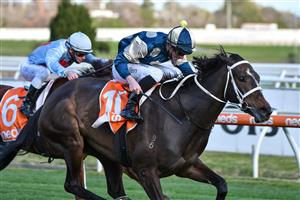 MELBOURNE, AUSTRALIA - AUGUST 14: John Allen riding Sierra Sue winning Race 8, the P.b. Lawrence Stakes, during Melbourne Racing at Caulfield Racecourse on August 14, 2021 in Melbourne, Australia. (Photo by Vince Caligiuri/Getty Images)