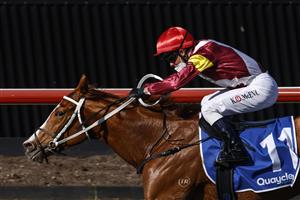 KEMBLA, AUSTRALIA - AUGUST 14: Kerrin McEvoy (red cap) on Crystal Pegasus wins race 6 the Quayclean Handicap during Sydney Racing at Kembla Grange on August 14, 2021 in Kembla, Australia. (Photo by Mark Evans/Getty Images)