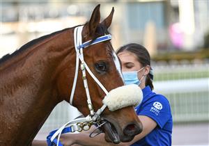 MELBOURNE, AUSTRALIA - AUGUST 14: Gimmie Par after winning Race 7, the Beck Probuild Quezette Stakes, during Melbourne Racing at Caulfield Racecourse on August 14, 2021 in Melbourne, Australia. (Photo by Vince Caligiuri/Getty Images)