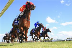 KEMBLA, AUSTRALIA - AUGUST 14: Tim Clark (L) on Prince Invincible wins race 5 the Midway Handicap during Sydney Racing at Kembla Grange on August 14, 2021 in Kembla, Australia. (Photo by Mark Evans/Getty Images)