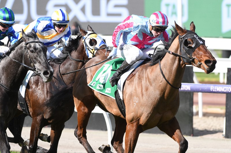 Sandown Betting Tips