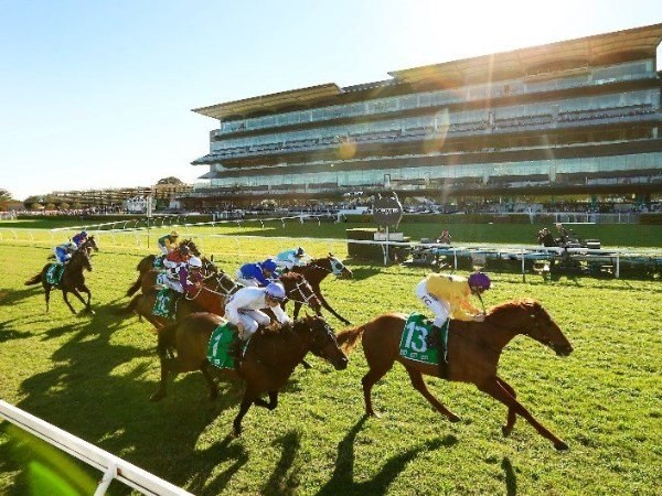 randwick kensington tips for 28.07.2021