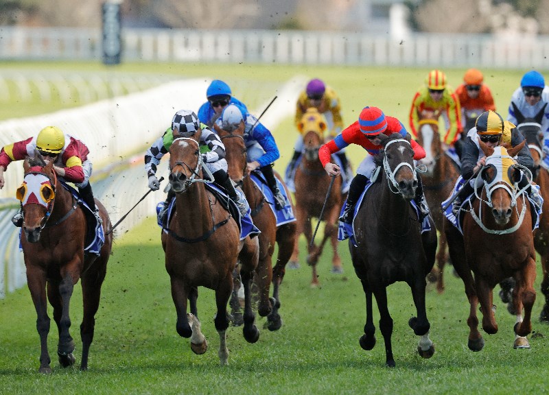 Winx Stakes Tips