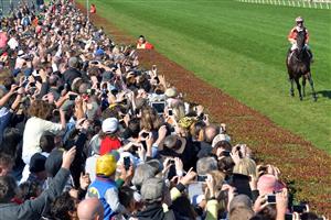 MELBOURNE, AUSTRALIA - APRIL 20: Black Caviar who was retired from racing during the week walks around the track with her regular jockey Luke Nolen for her final farewell from the race track during Melbourne racing at Caulfield Racecourse on April 20, 2013 in Melbourne, Australia. (Photo by Vince Caligiuri/Getty Images)