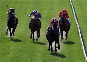 MELBOURNE, AUSTRALIA - AUGUST 22: Luke Nolen riding Black Caviar (2nd R) gets ahead to win race one the Arrow Training Services Plate at Moonee Valley Racecourse on August 22, 2009 in Melbourne, Australia. (Photo by Robert Cianflone/Getty Images)