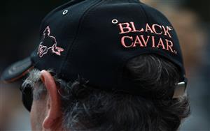 ASCOT, ENGLAND - JUNE 23: A supporter of Black Caviar looks on during day five of Royal Ascot at Ascot racecourse on June 23, 2012 in Ascot, England (Photo by Jan Kruger/Getty Images)
