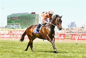 MELBOURNE, AUSTRALIA - NOVEMBER 05: Jockey Luke Nolen riding Black Caviar wins Race 5 the Patinack Farm Classic during Emirates Stakes Day at Flemington Racecourse on November 5, 2011 in Melbourne, Australia. (Photo by Mark Dadswell/Getty Images)