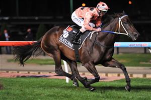 MELBOURNE, AUSTRALIA - MARCH 22: Luke Nolen riding Black Caviar winning her 24th straight win in the Hacer Group William Reid Stakes during Melbourne racing at Moonee Valley Racecourse on March 22, 2013 in Melbourne, Australia. (Photo by Vince Caligiuri/Getty Images)