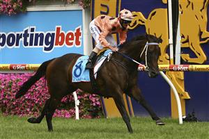 MELBOURNE, AUSTRALIA - FEBRUARY 11: Luke Nolen riding Black Caviar crosses the line to win race Six Sportingbet C.F. Orr Stakes during C.F. Orr Stakes Day at Caulfield Racecourse on February 11, 2012 in Melbourne, Australia. (Photo by Robert Prezioso/Getty Images)