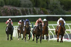 MELBOURNE, AUSTRALIA - JANUARY 27: Luke Nolen riding Black Caviar leads the field to win Race Four Essendon Mazda Australia Stakes during Australia Stakes Night at Moonee Valley Racecourse on January 27, 2012 in Melbourne, Australia. (Photo by Robert Prezioso/Getty Images)