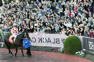 MELBOURNE, AUSTRALIA - APRIL 20: Black Caviar who was retired from racing during the week walks around the mounting yard with her regular jockey Luke Nolen for her final farewell from the race track during Melbourne racing at Caulfield Racecourse on April 20, 2013 in Melbourne, Australia. (Photo by Vince Caligiuri/Getty Images)