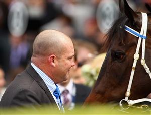MELBOURNE, AUSTRALIA - OCTOBER 23: Trainer Peter Moody greets Black Caviar in the mounting yard after winning Race Five the Schweppes Stakes during Cox Plate Day at Moonee Valley Racecourse on October 23, 2010 in Melbourne, Australia. (Photo by Mark Dadswell/Getty Images)