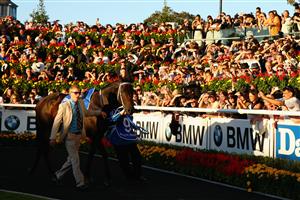 SYDNEY, AUSTRALIA - APRIL 13: Punters watch on as "Black Caviar" is walked around the mounting yard before race 9 the Darley TJ Smith Stakes poses in the mounting yard on Australian Derby Day at Royal Randwick Racecourse on April 13, 2013 in Sydney, Australia. (Photo by Mark Kolbe/Getty Images)