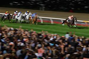 MELBOURNE, AUSTRALIA - MARCH 22: Luke Nolen riding Black Caviar leads the field to win Hacer group william reid stakes during Melbourne racing at Moonee Valley Racecourse on March 22, 2013 in Melbourne, Australia. (Photo by Robert Prezioso/Getty Images)