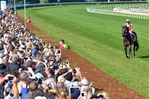 MELBOURNE, AUSTRALIA - APRIL 20: Black Caviar who was retired from racing during the week walks around the track with her regular jockey Luke Nolen for her final farewell from the racetrack during Melbourne racing at Caulfield Racecourse on April 20, 2013 in Melbourne, Australia. (Photo by Vince Caligiuri/Getty Images)